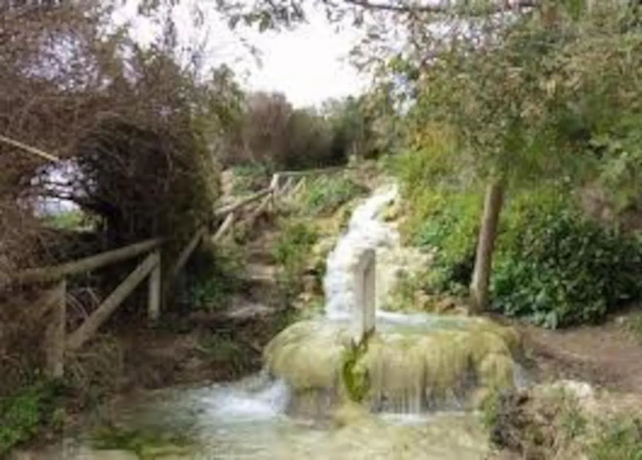 Alojamiento Del Duende Appartement Vejer de la Frontera